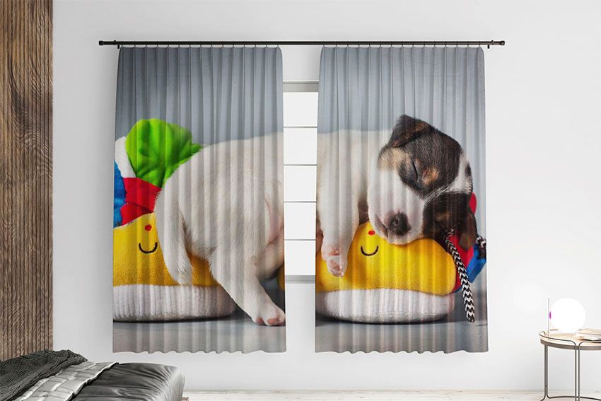 Цуценя Солодкий сон Puppy Sweet dream