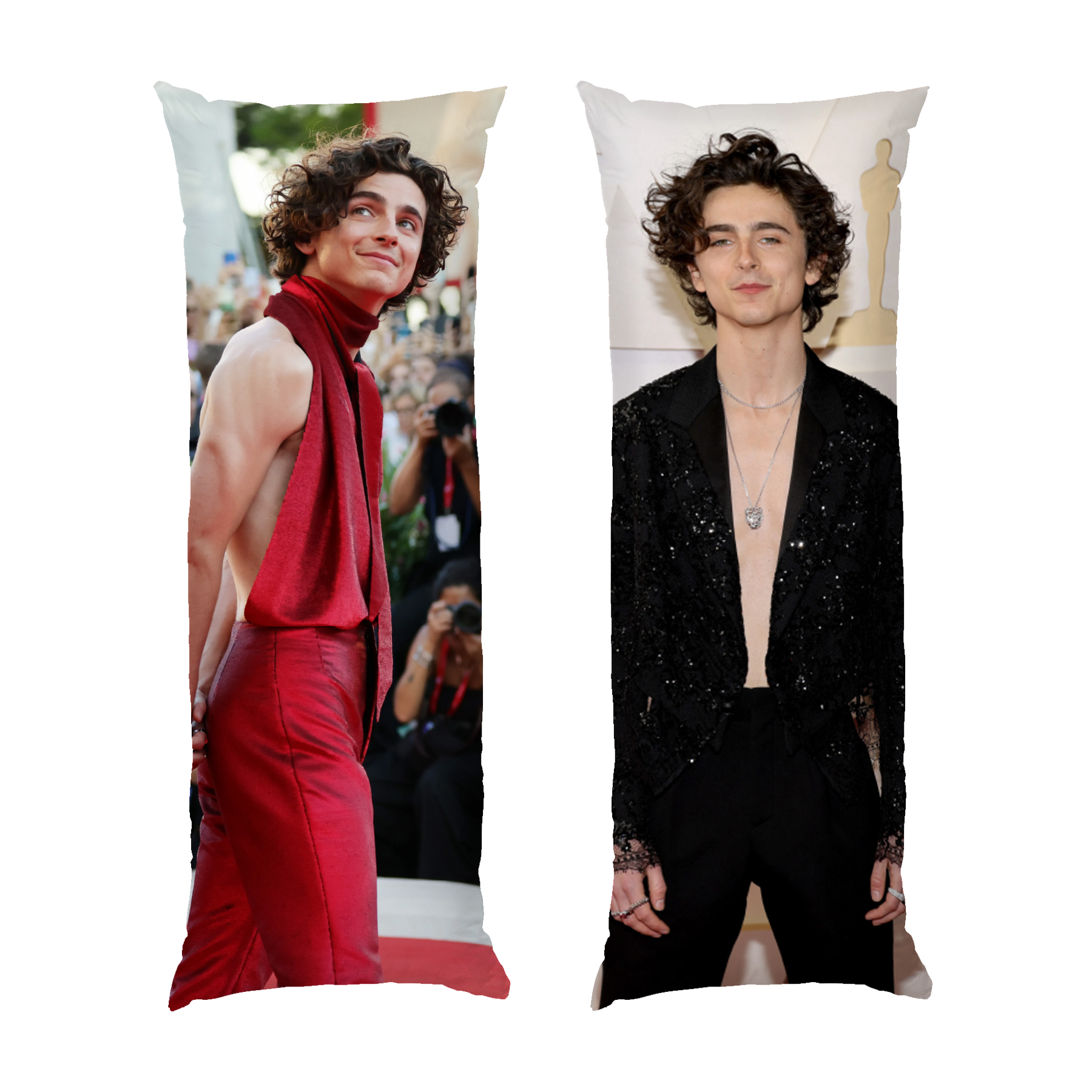 Тімоті Шаламе Актор Timothee Chalamet Actor