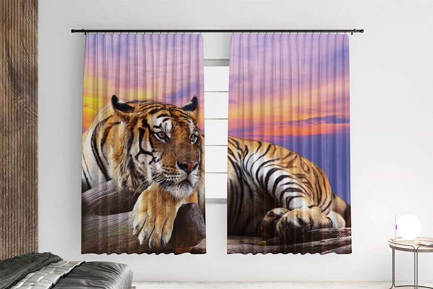 Тигр Захід сонця Tiger Sunset