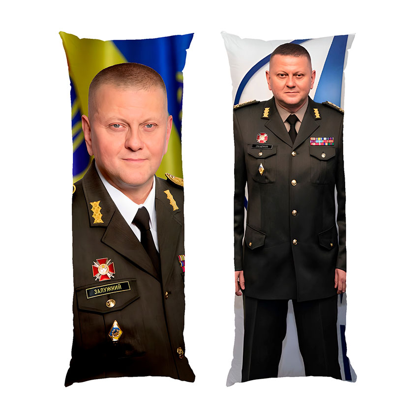 Валерий Залужный в форме