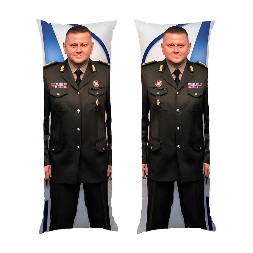 Валерий Залужный Главнокомандующий ВСУ Главнокомандующий ВСУ