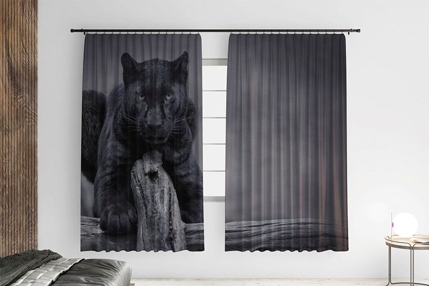 Велика чорна пантера Big black panther