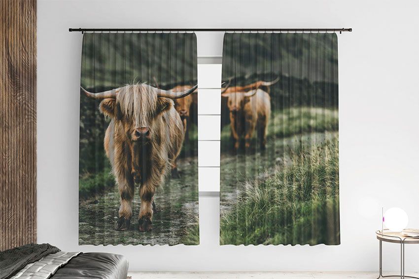 Великий бик Big bull