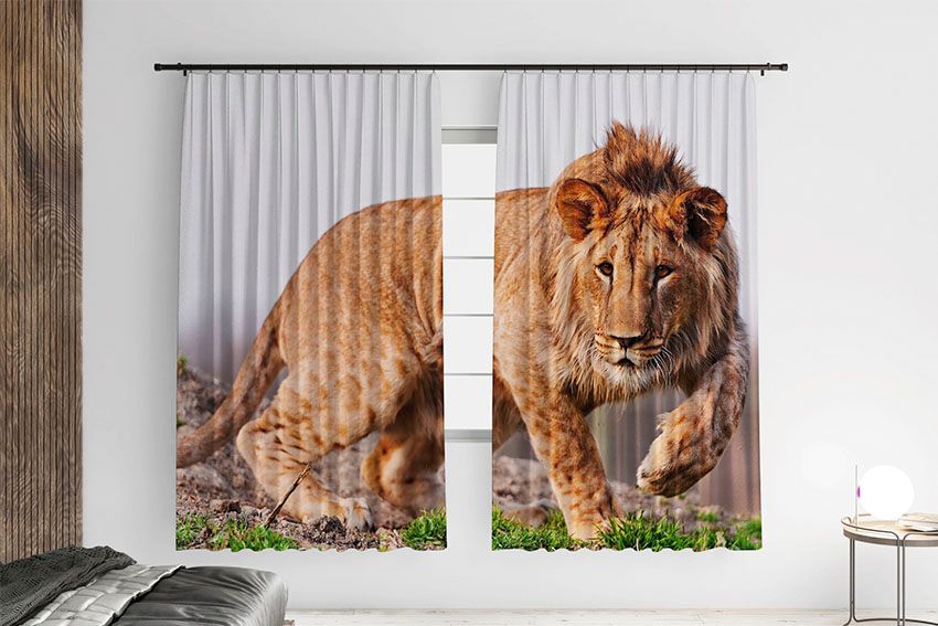 Великий лев Полювання Big lion Hunting