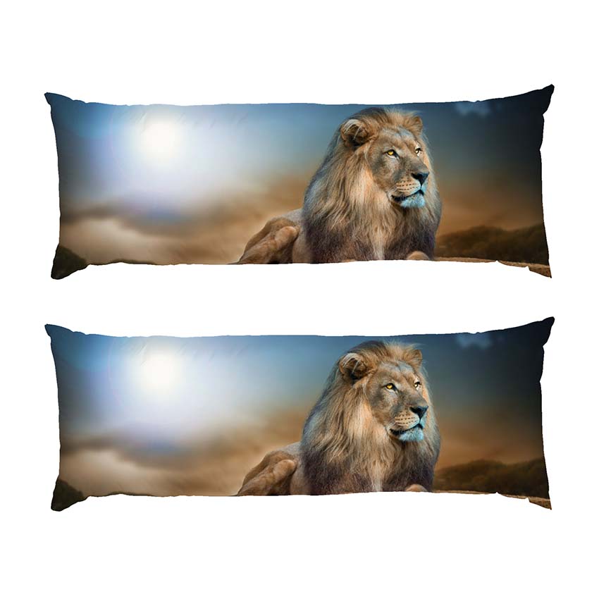 Великий та гордий лев A big and proud lion