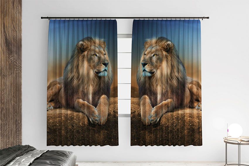 Великий та гордий лев A big and proud lion