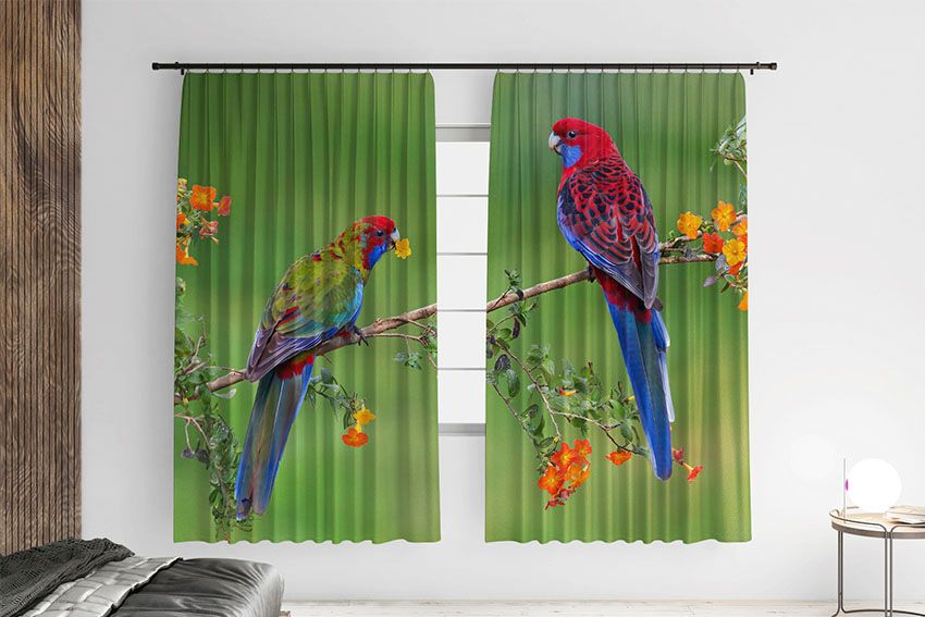 Яскраві папуги Джунглі Bright parrots Jungle