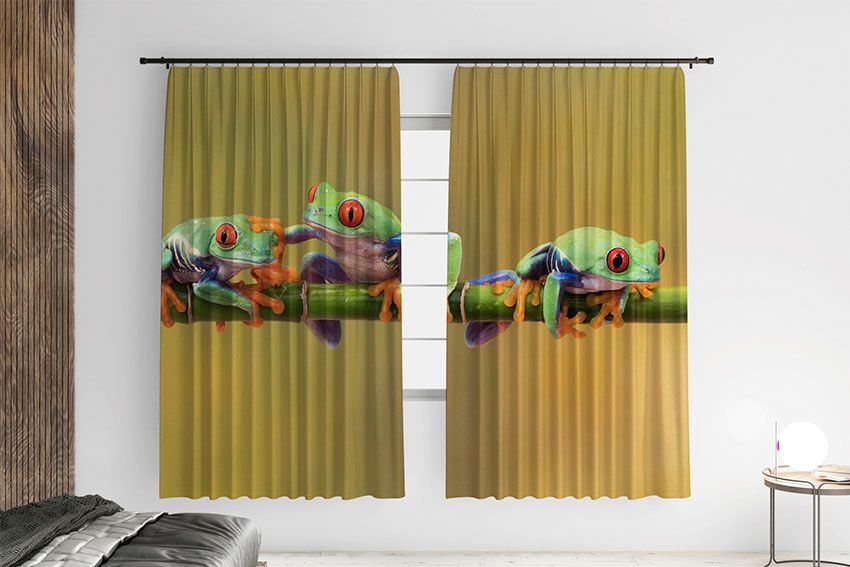 Жабенята на гілці Frogs on a branch