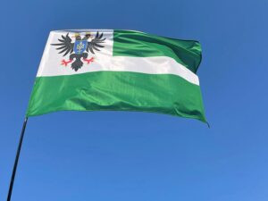 flag chernigovskoj oblasti jpg