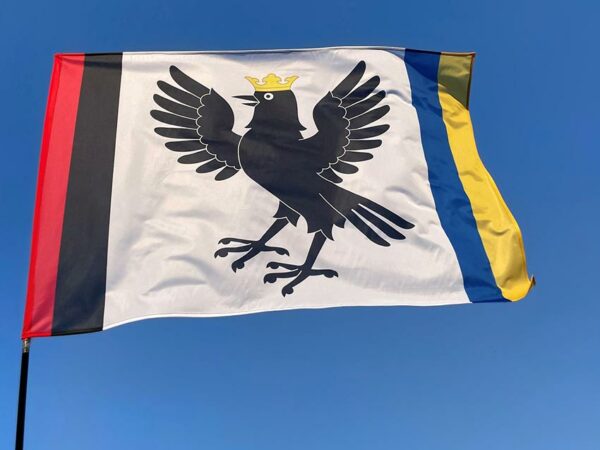 flag ivano frankovskoj oblasti jpg
