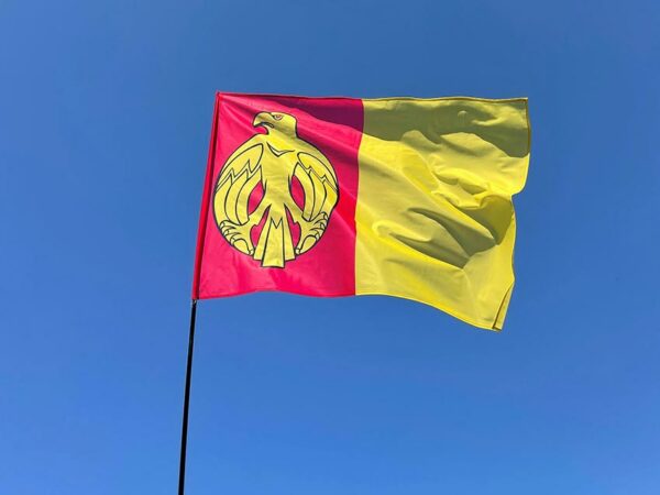 flag kirovogradskoj oblasti jpg