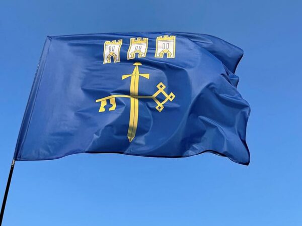 flag ternopolskoj oblasti jpg