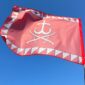 flag vinniczy1 jpg