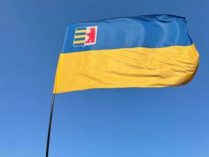 flag zakarpatskoj oblasti jpg