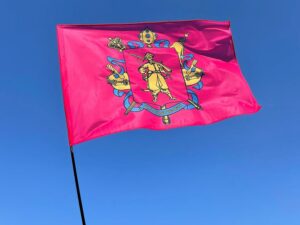 flag zaporozhskoj oblasti1 1 jpg