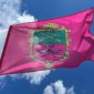 flag zaporozhya1 jpg