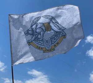 flah sso ukrayny svetlo seryi jpg