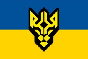 flah vsu 1 batalon operatyvnoho naznachenyia ym henerala kulchytskoho nhu syne zheltyi jpg