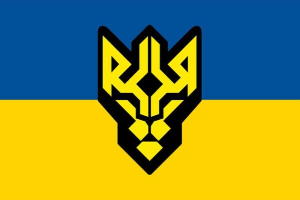 flah vsu 1 batalon operatyvnoho naznachenyia ym henerala kulchytskoho nhu syne zheltyi jpg