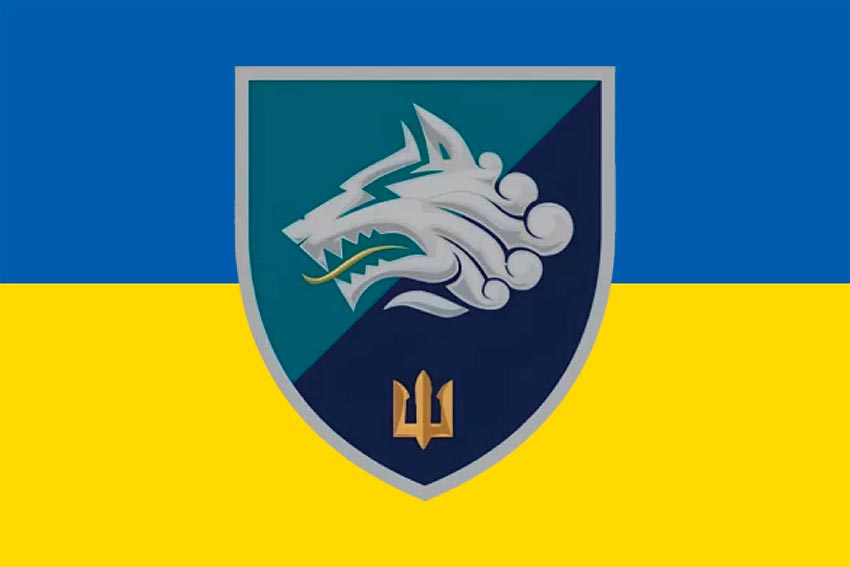 prapor 1 okremoho bataliona morskoi pikhoty 1 obmp vms ukrainy syno zhovtyi jpg