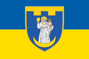 prapor 117 okremoi bryhady terytorialnoi oborony 117 obrtro zsu syno zhovtyi jpg