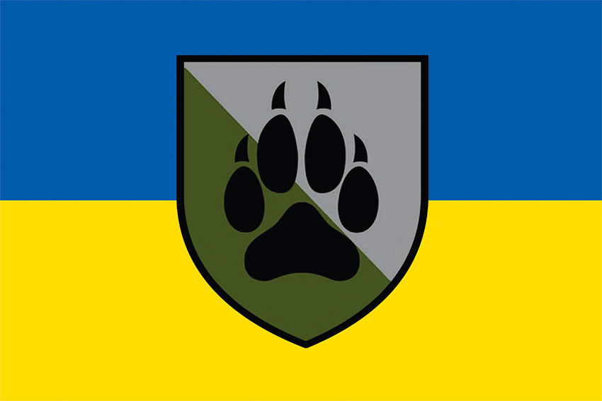 prapor 118 ombr sv zsu syno zhovtyi jpg