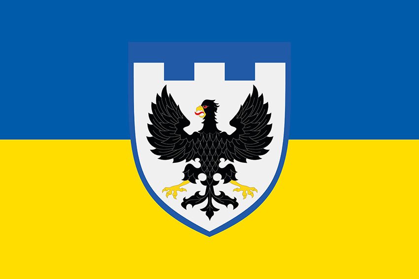 prapor 119 obrtro zsu syno zhovtyi 2 jpg