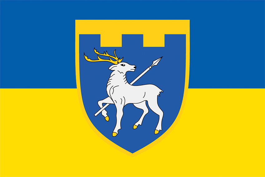 prapor 123 obrtro zsu syno zhovtyi jpg