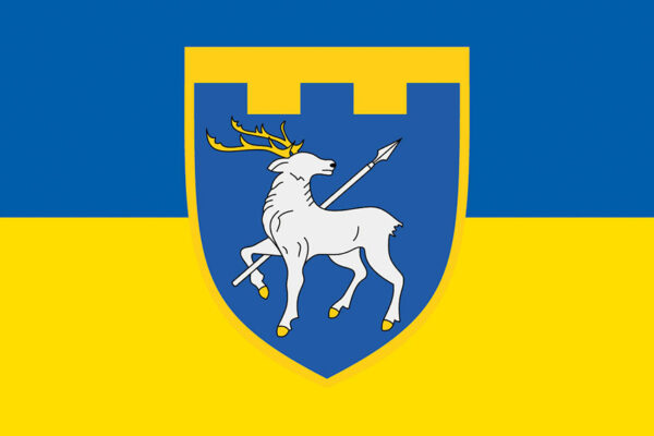 prapor 123 okremoi bryhady terytorialnoi oborony 123 obrtro zsu syno zhovtyi jpg prapor 123 okremoi bryhady terytorialnoi oborony 123 obrtro zsu syno zhovtyi jpg