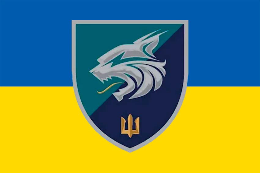 prapor 137 okremoho bataliona morskoi pikhoty 137 obmp zsu loho 2 syno zhovtyi jpg