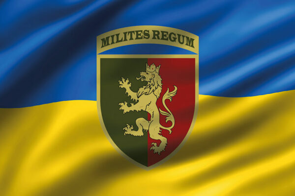 prapor 24 ombr imeni korolia danyla zsu 3d syno zhovtyi jpg