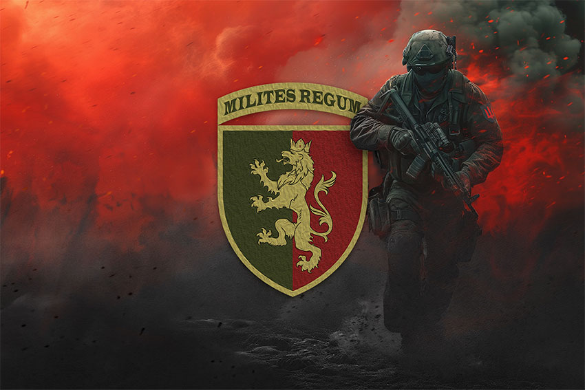 prapor 24 ombr imeni korolia danyla zsu chervonyi svitanok jpg