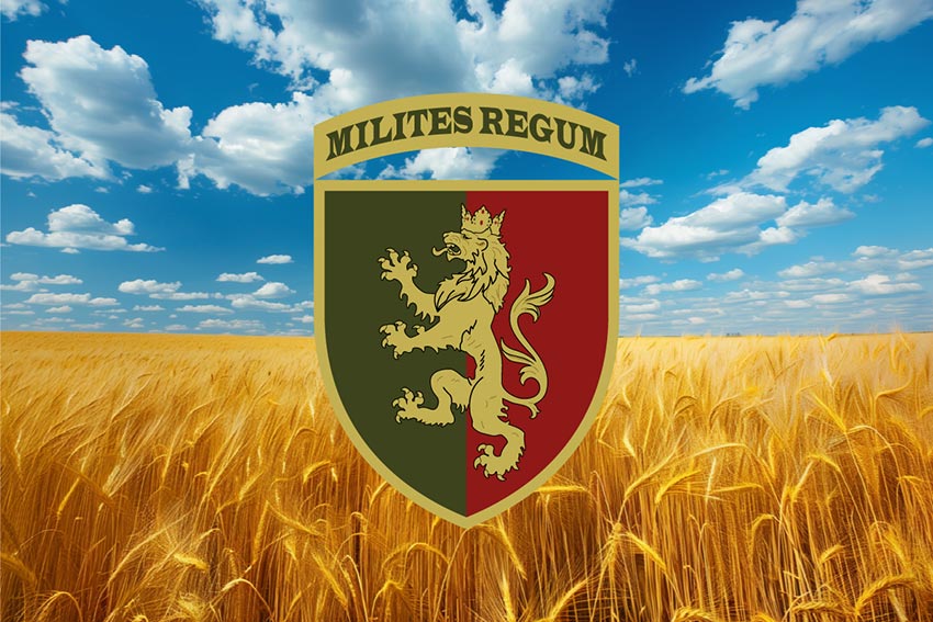 prapor 24 ombr imeni korolia danyla zsu pshenychne pole jpg