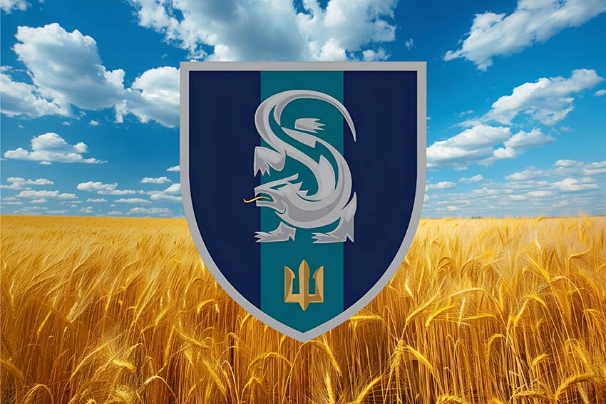 prapor 241 nts mp vms pshenychne pole jpg