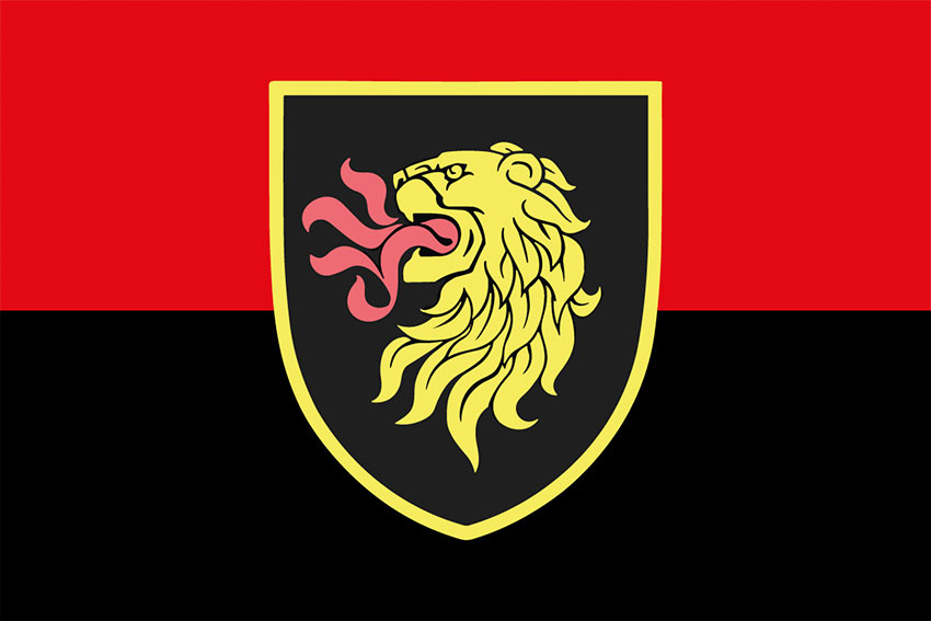 prapor 4 otbr imeni ivana vyhovskoho zsu loho 3 chervono chornyi jpg