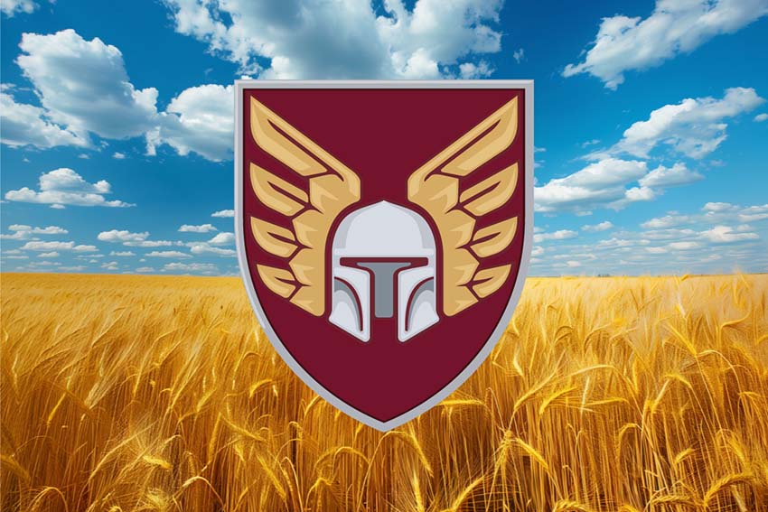 prapor 46 oaembr dshv zsu pshenychne pole jpg