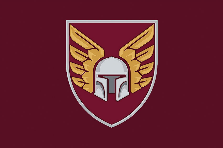 prapor 46 oaembr dshv zsu jpg