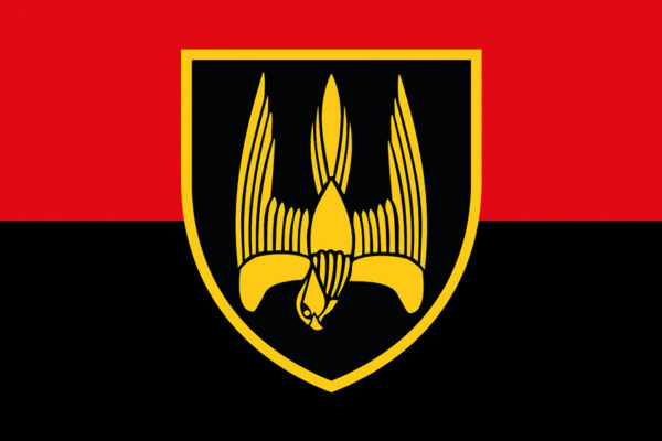 prapor 46 okremoho shturmovoho bataliona 46 oshb donbas zsu chervono chornyi jpg prapor 46 okremoho shturmovoho bataliona 46 oshb donbas zsu chervono chornyi jpg