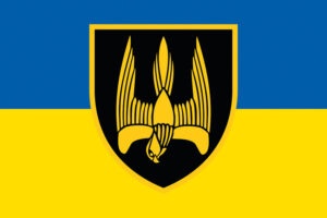 prapor 46 okremoho shturmovoho bataliona 46 oshb donbas zsu syno zhovtyi jpg