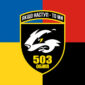 prapor 503 obmp okremyi batalion morskoi pikhoty zsu zhovto synii chervono chornyi jpg