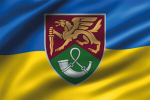 prapor 71 oyebr okremoi yeherskoi bryhady dshv zsu variant 2 3d syno zhovtyi jpg