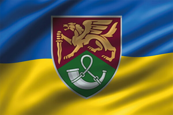 prapor 71 oyebr okremoi yeherskoi bryhady dshv zsu variant 2 3d syno zhovtyi jpg