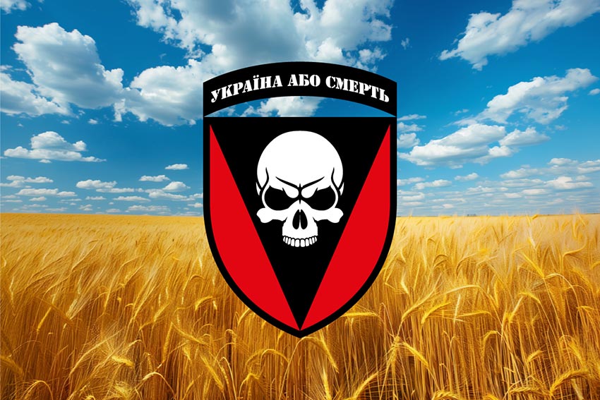 prapor 72 ombr imeni chornykh zaporozhtsiv zsu pshenychne pole jpg