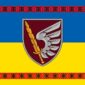 prapor 79 odshbr dshv zsu syno zhovtyi z vyshyvankoiu jpg