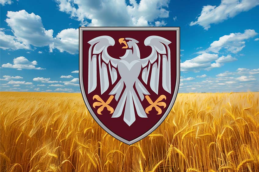 prapor 82 odshbr dshv zsu pshenychne pole jpg