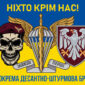 prapor 82 odshbr dshv zsu syno zhovtyi 6 nikhto krim nas 1 jpg