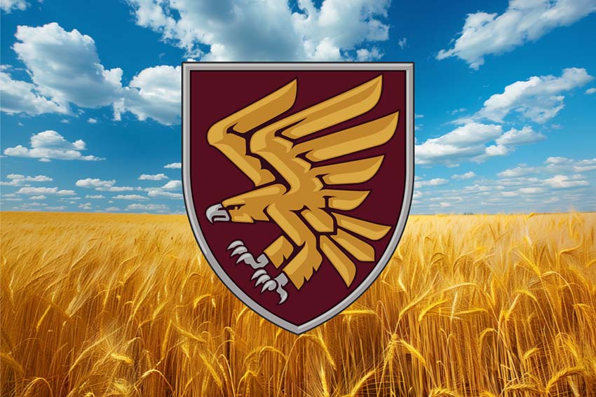 prapor 95 odshbr dshv zsu pshenychne pole jpg