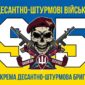 prapor 95 okremoi desantno shturmovoi bryhady 95 odshbr dshv zsu syno zhovtyi 3 jpg