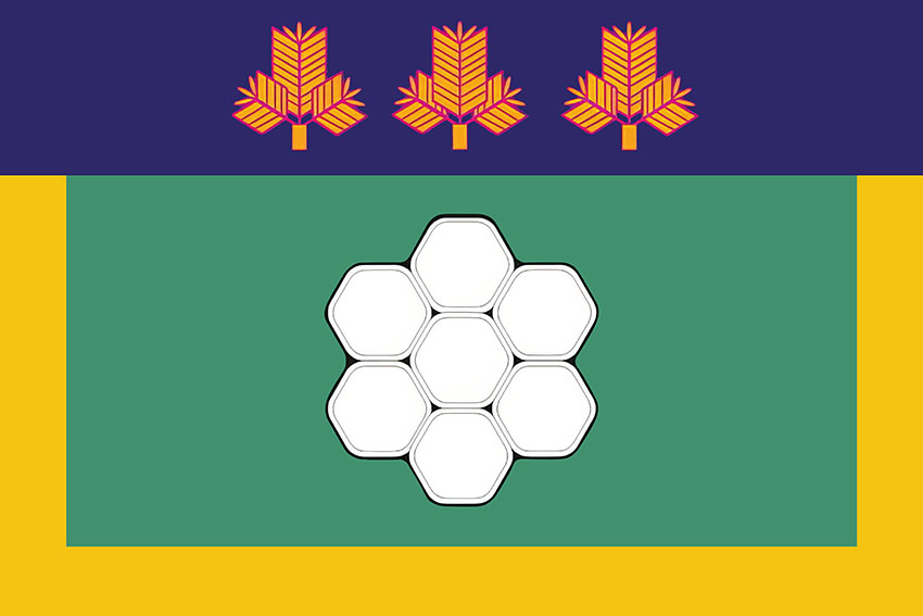 prapor mista netishyn jpg