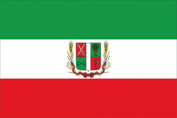 prapor tokmatskoho raionu zaporizkoi oblasti jpg